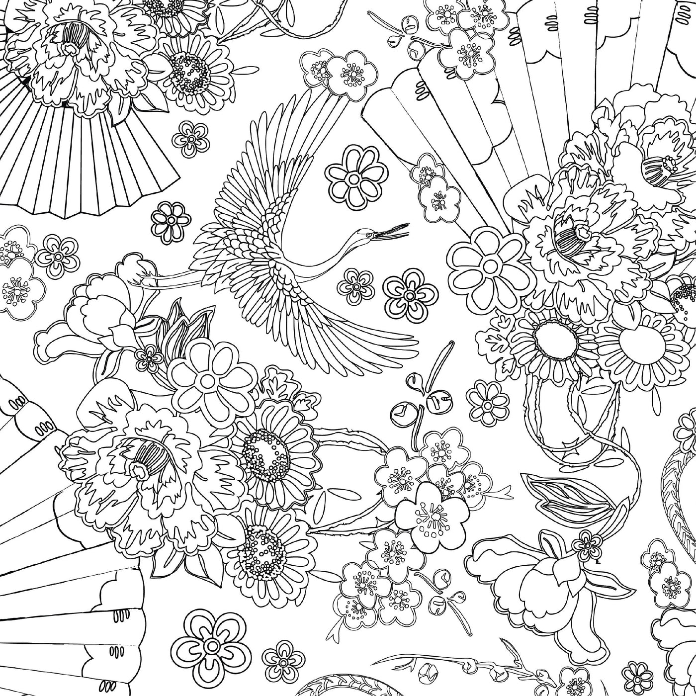 Maiocchi Masterpiece: Colouring In Competition!