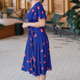 Arabella Dress in ladybug navy